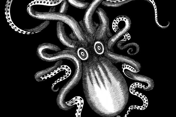 Kraken16.at